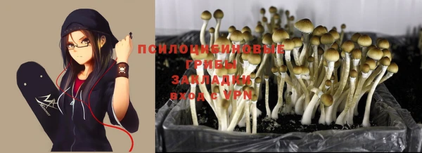 круглые Алзамай