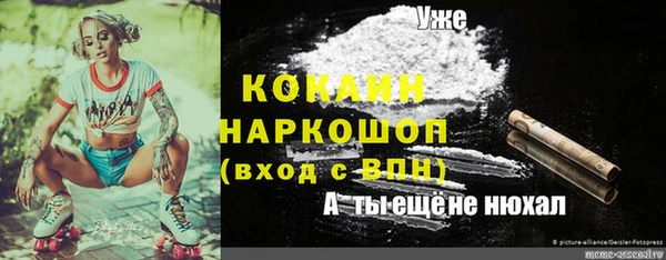 ешки Алексеевка