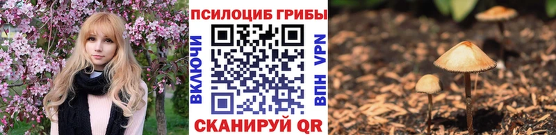 Галлюциногенные грибы Magic Shrooms  Десногорск 